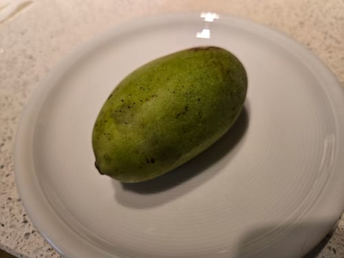 Kunde zeigt eine ganze, grüne Mango Emeraude auf einem weißen Teller.