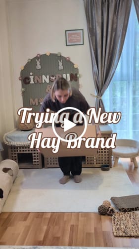 Customer video review of Timothy Hay Box 'Blend'