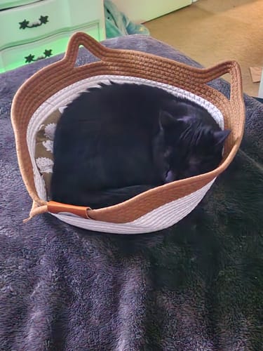 Customer photo review of Instinct Basket | Meet the first research-backed natural territory for indoor cats