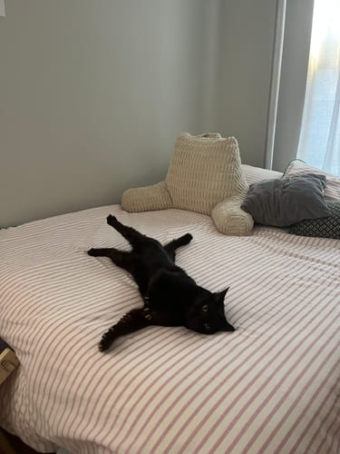 Customer photo review of Sweet Stripes Duvet Cover - Violet