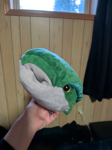 Customer photo review of Astraspis Prehistoric Fish Plush – Soft, Realistic, and Perfect for Science Enthusiasts