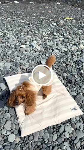 Customer video review of Hazelnut Stripe | The Cosy Cloak Drying Robe