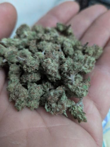 Customer photo review of Cheap THCA Smalls Ounce