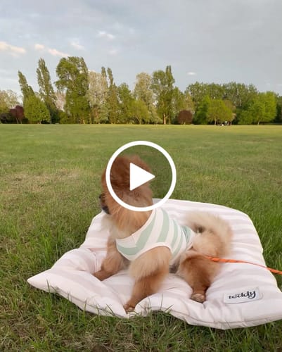 Customer video review of Matcha Stripe | Summer Breeze Cooling Vest