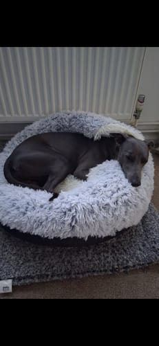 Customer photo review of Super Plush Cove Bed