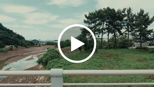 Customer video review of iPhone Apple Log LUTs