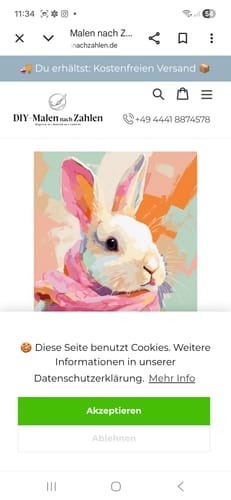 Kunde zeigt einen Screenshot der Produktseite für das 'Malen nach Zahlen - Pastellhase'-Set.
