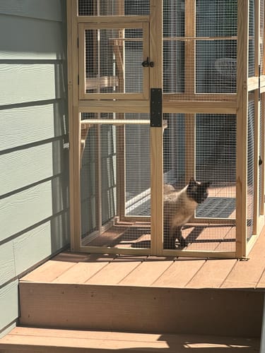 Customer photo review of Coziwow 39″L Wooden Outdoor Cat Catio