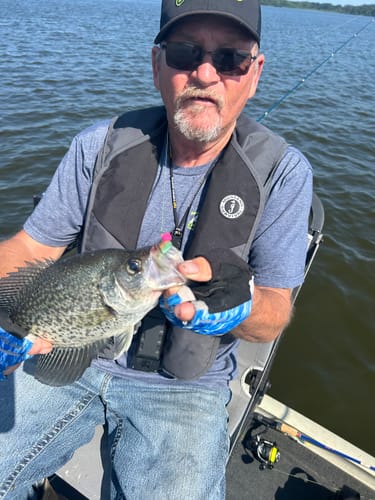 Customer photo review of Cajun Cricket