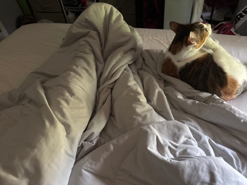 Customer photo review of CloudCool™ Cooling Comforter