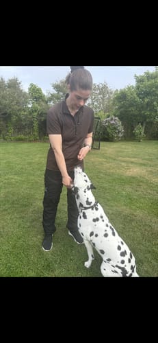Anmelder iført en mørk FeelFree Dog Walker Zip T-shirt, der giver en godbid til en dalmatiner på en græsplæne.
