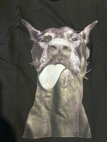 Customer photo review of Doberman T-Shirts Women Dog Prints Cotton Tops Summer O-Neck Oversize T Shirts Casual Short Sleeve Tees Street Woman Clothes