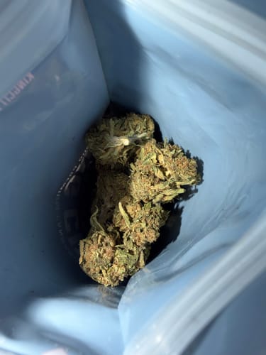 Customer photo review of Black Ice THCA Flower Ounce (28g)