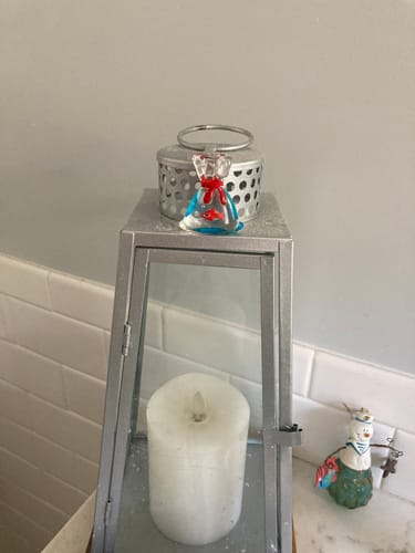 Customer photo review of Tiny Goldfish in a Bag