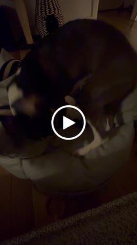 Customer video review of Boujee Booster