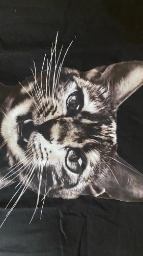 Customer photo review of Doberman T-Shirts Women Dog Prints Cotton Tops Summer O-Neck Oversize T Shirts Casual Short Sleeve Tees Street Woman Clothes