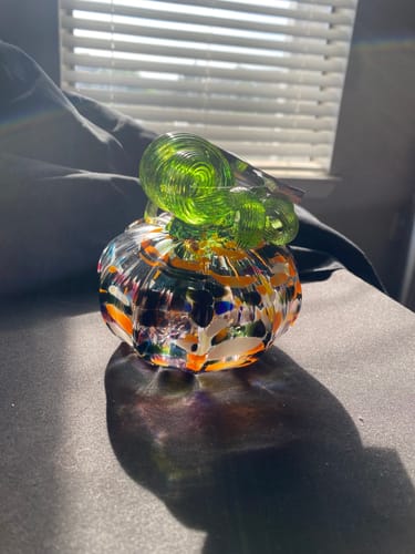 Customer photo review of Daily Pumpkin 3863 Squat