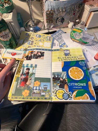Customer's open journal decorated with many stickers from the lemon and blueberry themed subscription.