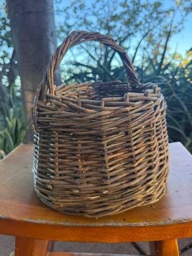 Customer photo review of The Berry Basket Course and Kit