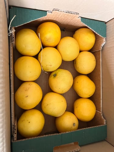 Kundenbild der geöffneten Retterbox, die zahlreiche gelbe Bio-Grapefruits enthält.