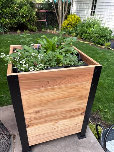Customer photo review of 18″ x 18″ Planter Box - 24" TALL / Select Grade