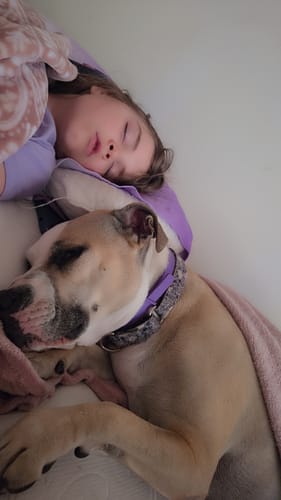 Customer's dog wearing the Express Handling collar while sleeping peacefully next to a person in bed.