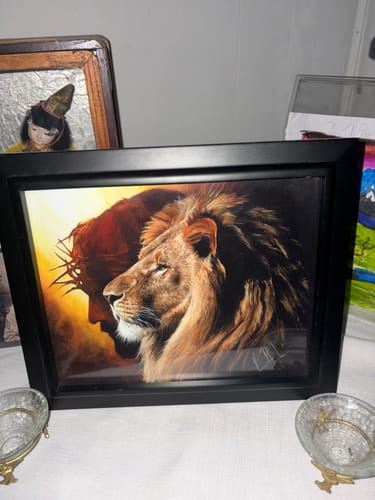 Customer photo review of The Lion and Lamb Passover