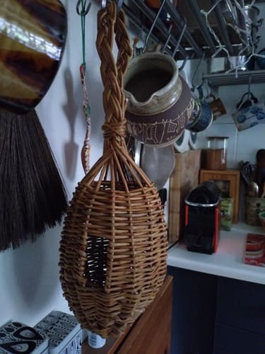 Customer photo review of The Bird Box - Course and Kit