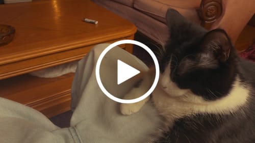 Customer video review of iPhone Apple Log LUTs