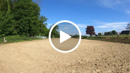 Customer video review of Strotonin Nerve Support