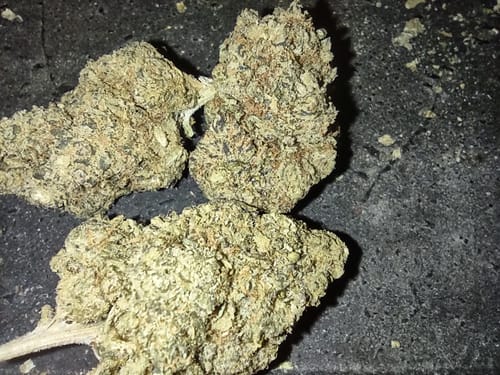 Customer photo review of White Widow - 28 Grams - Hybrid