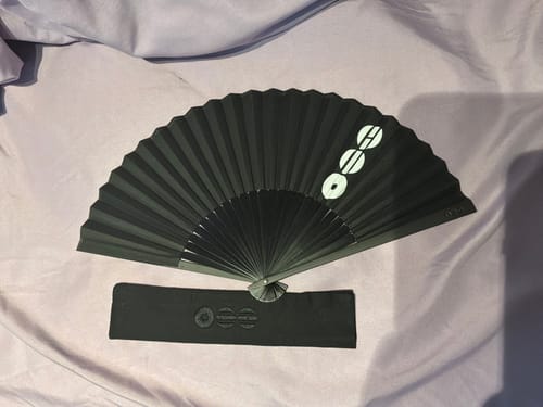 Reviewer's black BTS Arirang folding fan is shown open, with its protective sleeve underneath.