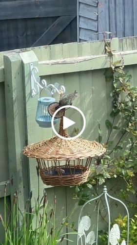 Customer video review of The Willow Bird Feeder - Course and Kit