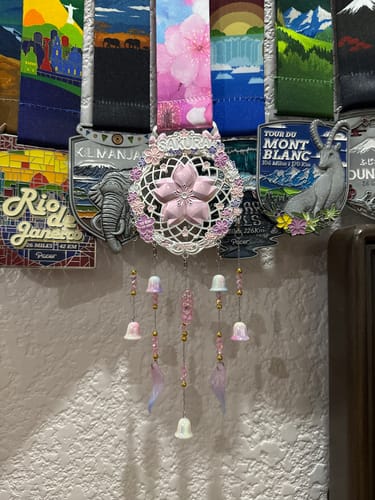 Customer photo review of Kyoto Sakura Virtual Challenge