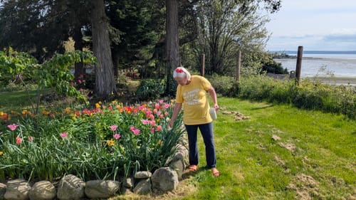 Customer photo review of Mornings Are For Plant Wellness Checks