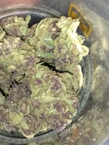 Customer photo review of Cheap THCA Flower Pound (450g)