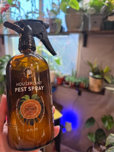 Customer holding the brown Houseplant Pest Spray bottle with numerous houseplants visible in the background.