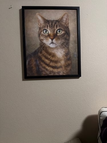 Customer photo review of Classic - Custom Pet Portrait