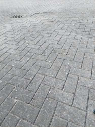 Customer photo review of 400W Weed Sweeper