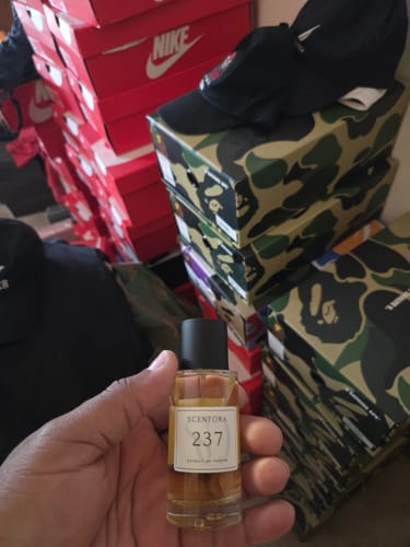 Customer photo review of SCENTORA 237