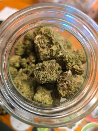 Customer photo review of Cheap THCA Flower Pound (450g)