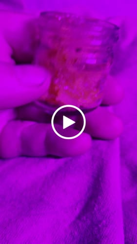 Customer video review of Watermelon Papaya Shatter