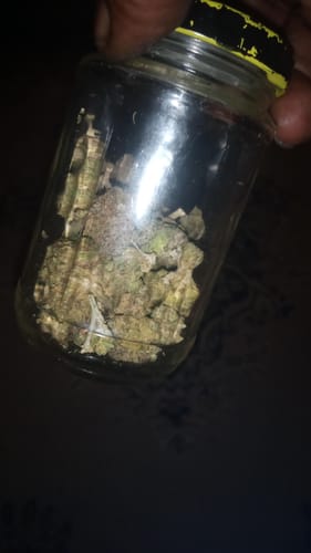Customer photo review of Cheap THCA Flower Pound (450g)