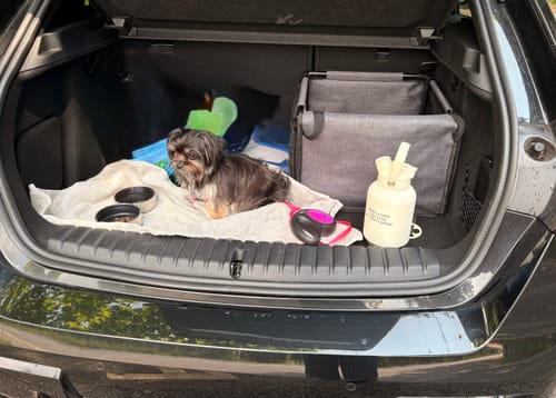 Customer photo review of The Bowl Bottle 2.0 | 3-in-1 Travel Bottle