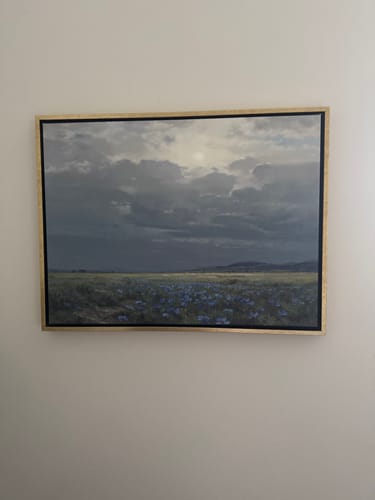 Customer photo review of Cornflower Fields Canvas Art - Horizontal