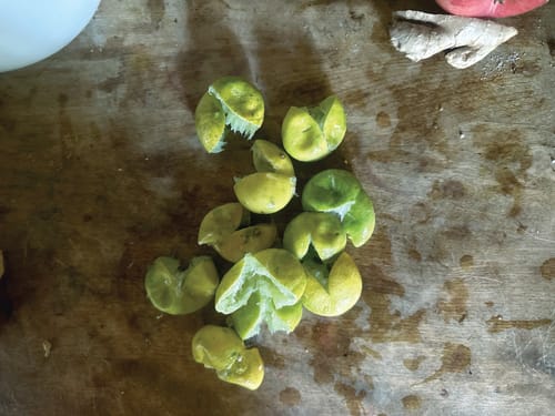 Customer photo review of Organic Key Limes 3 lbs