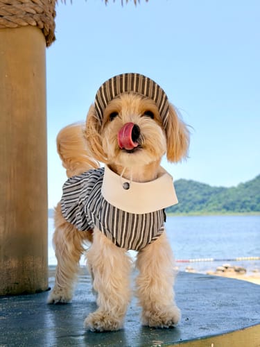 Customer photo review of Riviera Stripe Polo Hat