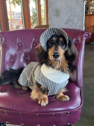 Customer photo review of Riviera Stripe Polo Hat
