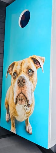 Customer's Custom Cornhole Board Wrap with a photo of a dog on a bright blue background.