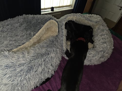 Customer photo review of Super Plush Cove Bed